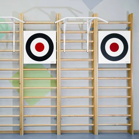 Щит для метания навесной на шведскую стенку (фанера) 700х700 ZAVODSPORTA за 8&nbsp;960 ₽ купить в Калуге