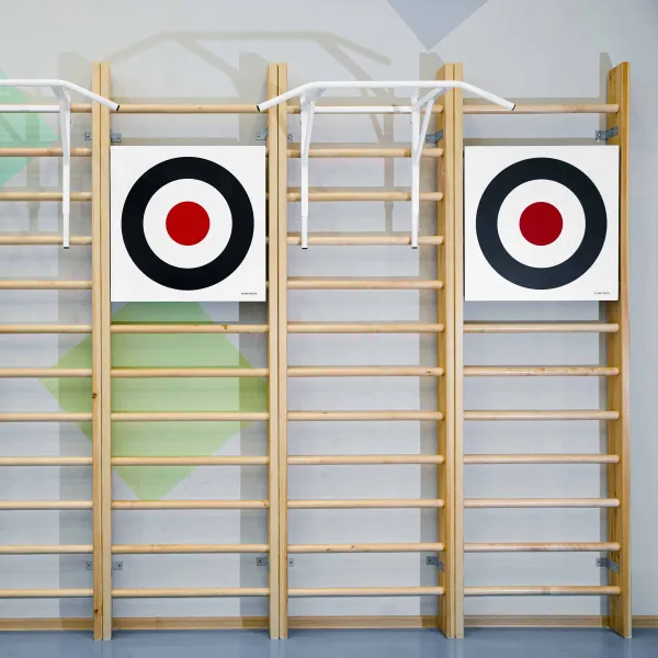 Щит для метания навесной на шведскую стенку (фанера) 700х700 ZAVODSPORTA за 8&nbsp;960 ₽ в Калуге