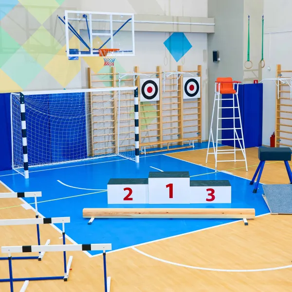 Щит для метания навесной на шведскую стенку (фанера) 700х700 ZAVODSPORTA за 8&nbsp;960 ₽ в Калуге